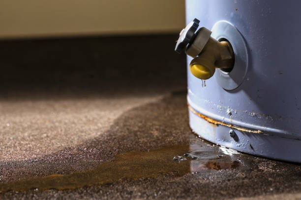 Best Water damage restoration experts  in Rock Creek, AL