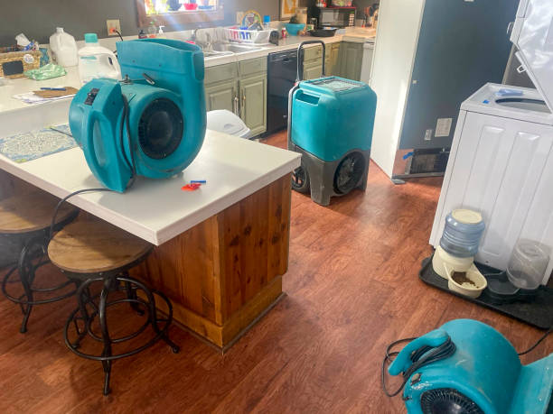 Best Residential water damage restoration  in Rock Creek, AL