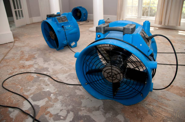 Best Flooded house restoration  in Rock Creek, AL