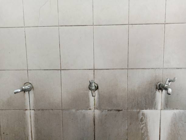 Best Basement water damage restoration  in Rock Creek, AL