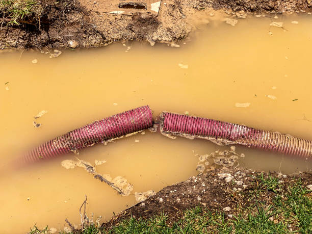 Best Commercial water damage restoration  in Rock Creek, AL