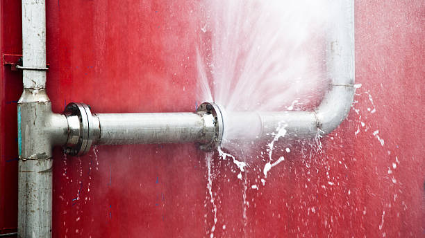 Best Local water damage restoration  in Rock Creek, AL